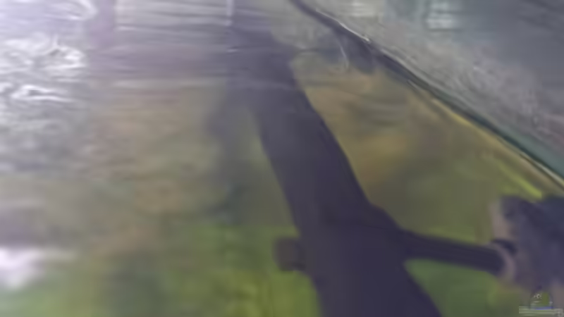 Strömung auf der Wasseroberfläche von Frank S (15)