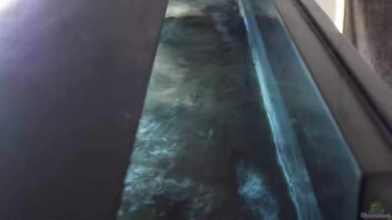 Strömung hinter dem Aufbau von MichaB (17)