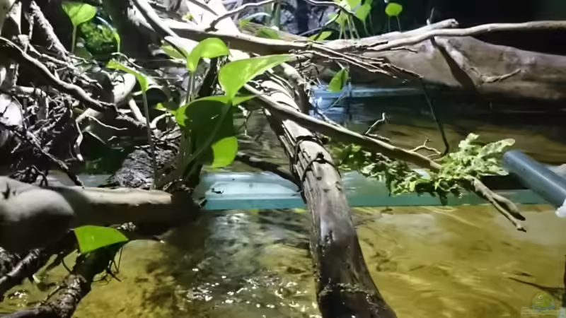 Strömung von Christoph Ottacher (5)