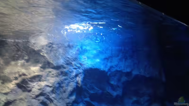 Strömung von rechts von der Steirer (7)