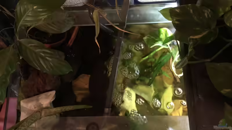 Strömungsdüse und Lochrohr  von Reneè Thissen (6)