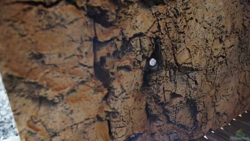 Strömungspume Vorderseite von Heiko Bertsch (11)