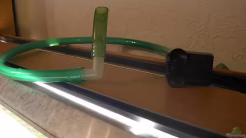 Strömungspumpe, Ansaug rechts, Einlass links, versteckt hinter Moosrückwand von Stinnes (14)