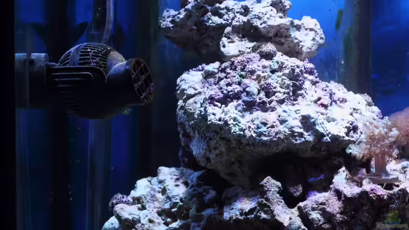 Strömungspumpe, Heizstab und Filterablaufschacht von Micha (28)