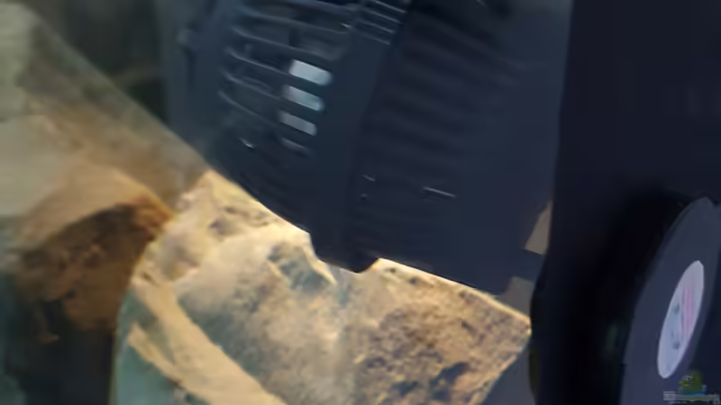 Strömungspumpe 2500 l/h kommt noch eine rein für den Bodenbereich  von Thomas0902 (39)