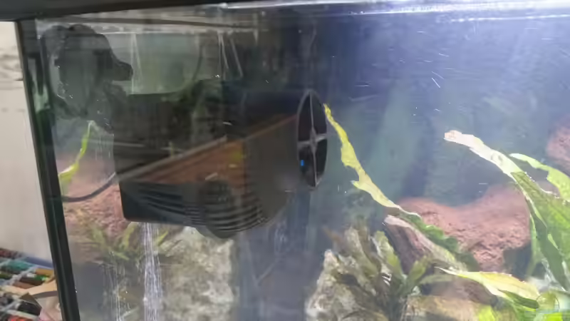 Strömungspumpe 5000 l/h von Mia Sun (8)