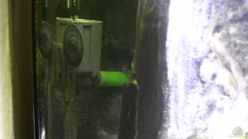 Strömungspumpe & Heizung versteckt hinterm Felsen von Malawifreak (8)