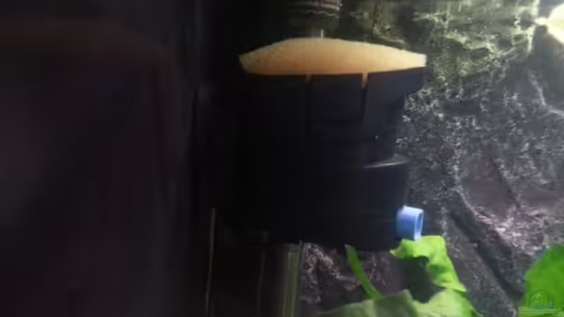 Strömungspumpe der Marke Eigenbau von Daniel Kastner (28)