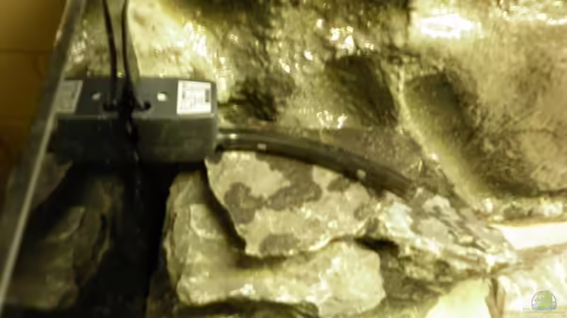 Strömungspumpe Eheim Compact 1000l/h, gleiches Model hinter der Matte von Julien Preuß (47)