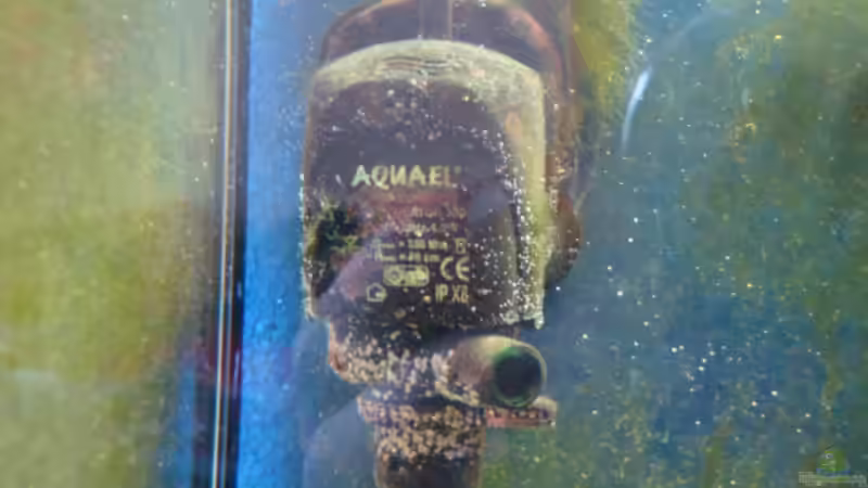 Strömungspumpe hinten Links von B1gT4nk (21)