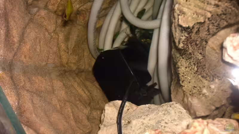 Strömungspumpe hinterm Heizkreis in der hinteren Beckenecke von Heiko Schrandt (22)