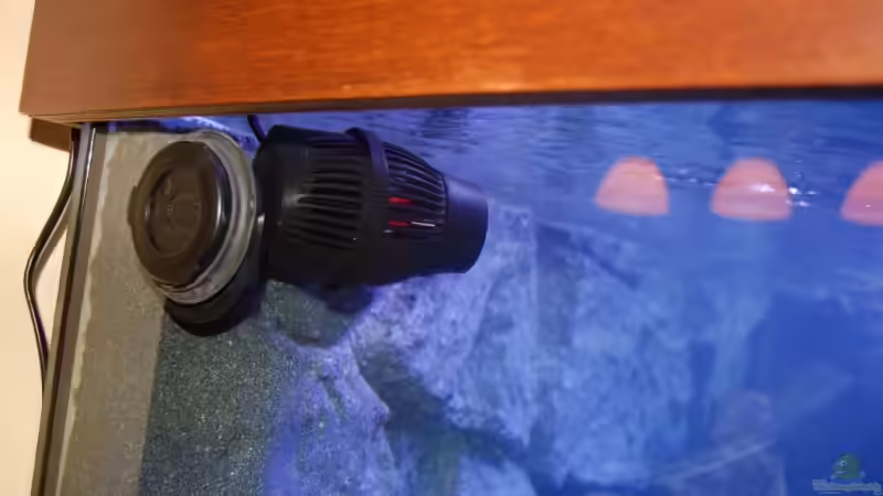 Strömungspumpe Hydor Koralia 3 mit 3700 l/h von Claus Becker (11)