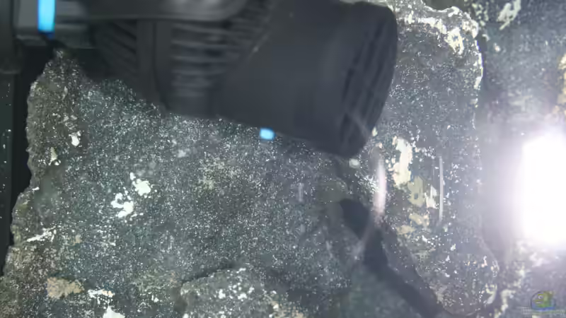 Strömungspumpe inkl. Kamera (ist normalerweise in der Rückwand versteckt) von Jean-Paul Ambord (28)