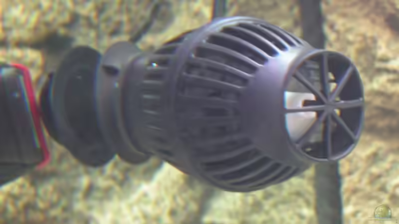 Strömungspumpe Koralia Nano von Jürgen Langer (14)