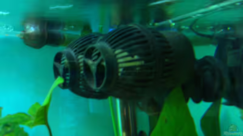 Strömungspumpe mit 12000l/h von Manuel Kellauer (7)