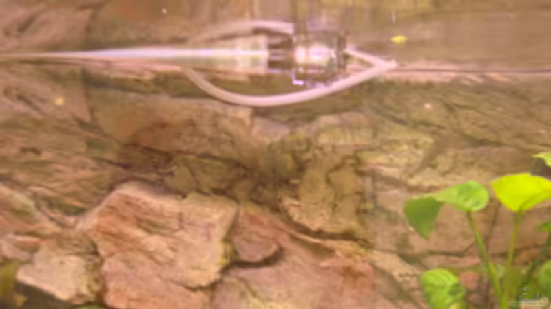 Strömungspumpe mit Defusor von Zorni (9)