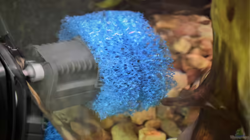 Strömungspumpe mit Schaumstoff von Junglist (38)