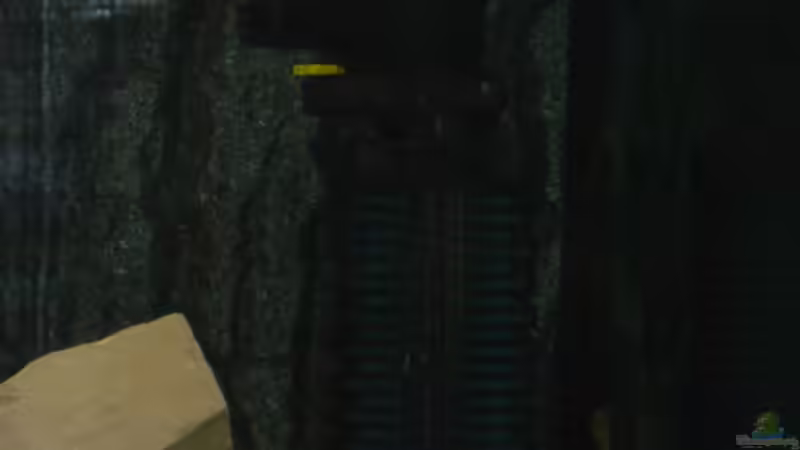 Strömungspumpe Power-Head 403 von Tom (12)