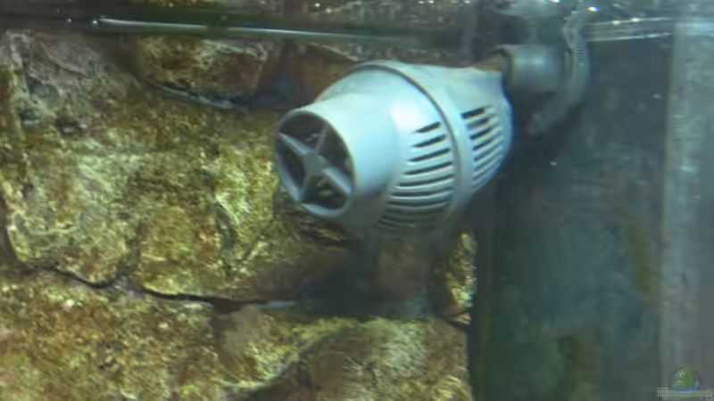 Strömungspumpe Reef Stream 5000 Liter/Std von Peterfish (11)