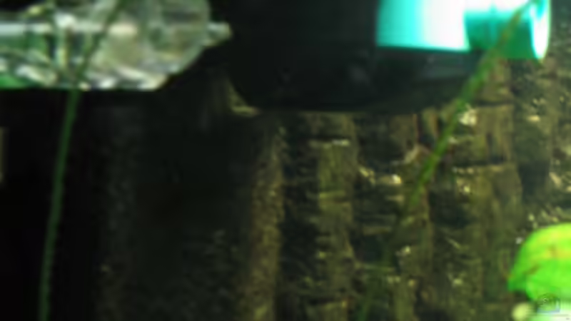 Strömungspumpe Selzle Power-Wave P1100 mit Rotationsautomatik von Andreas Herbrich (8)