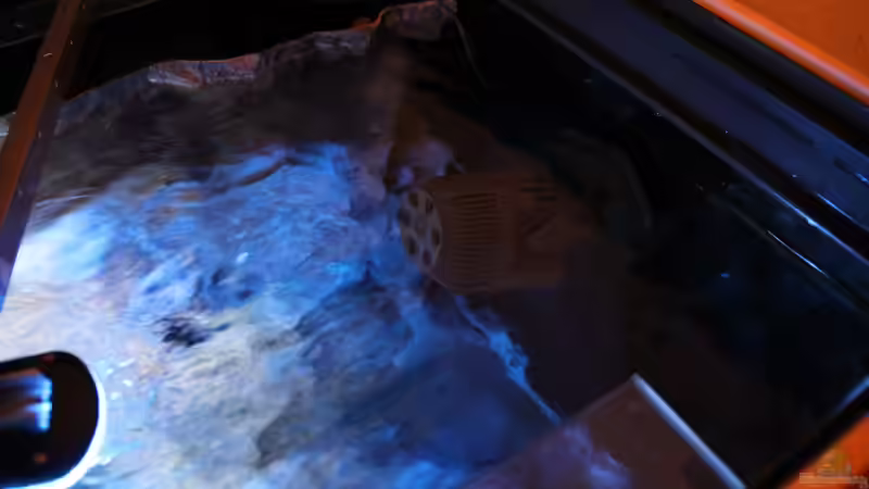 Strömungspumpe Sicce Voyager 4 von Sebastian O. (44)