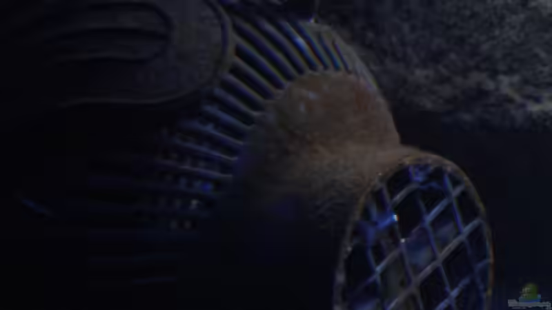 Strömungspumpe Tunze 6085 von Florian Bandhauer (46)