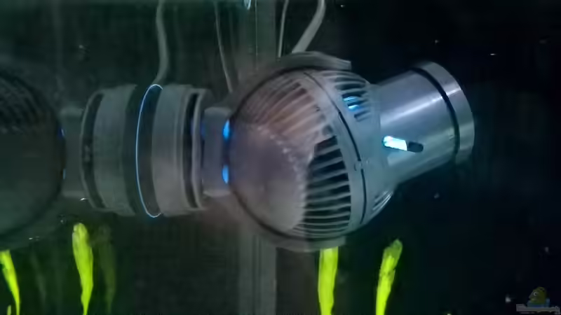 Strömungspumpe Tunze nanostream 6045 von Elsiman (18)