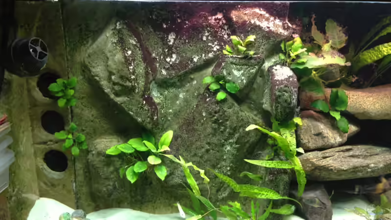 Strömungspumpe und Einlauf für den Filter von Thomas Nohr (5)