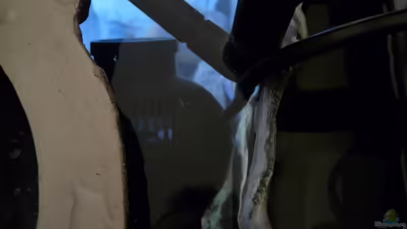 Strömungspumpe und Filterauslass von Steffen S. (26)