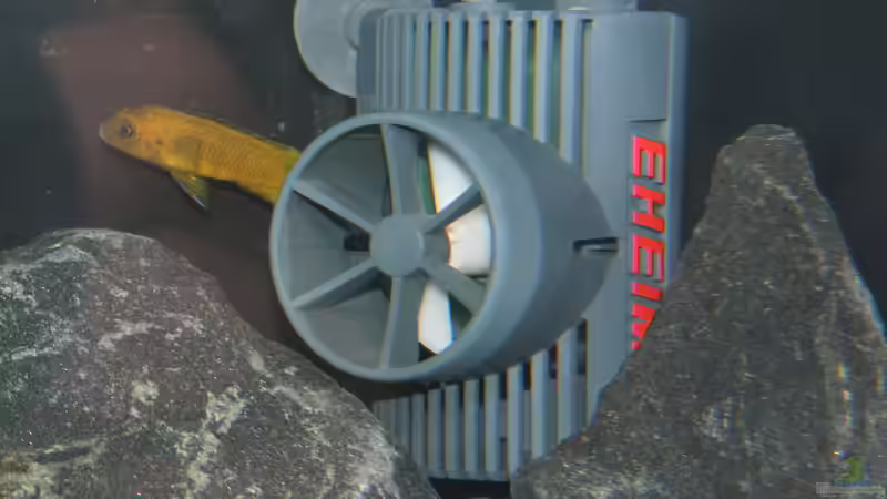 Strömungspumpe von Bbert (13)