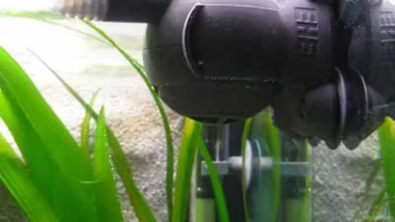 Strömungspumpe von Chris_R. (23)