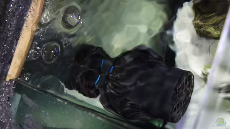 Strömungspumpe von Dirkan (13)