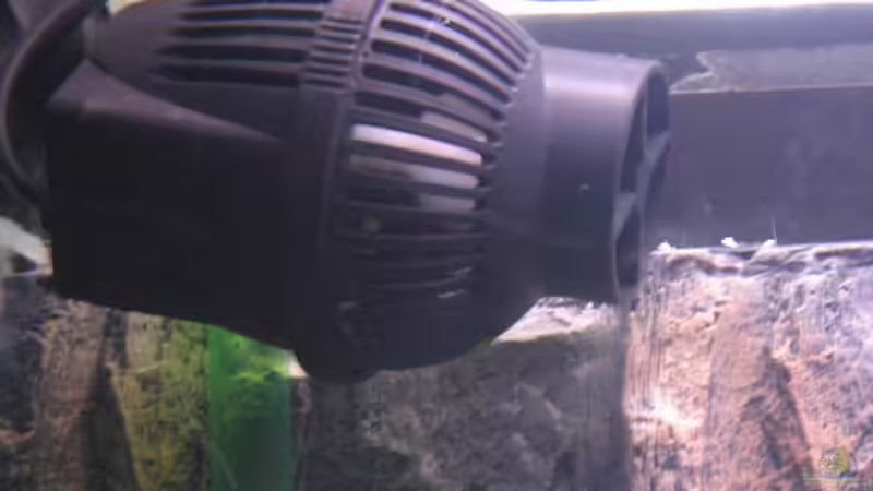 Strömungspumpe von Gladbacherfohlen86 (20)