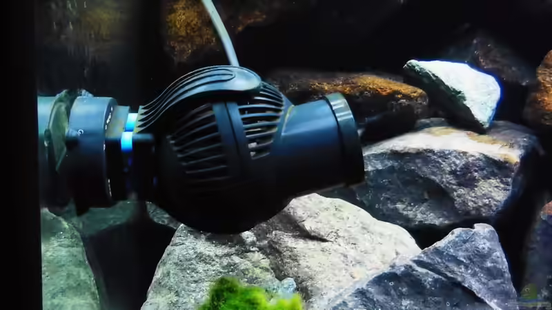 Strömungspumpe von Kevin Leonhard (76)