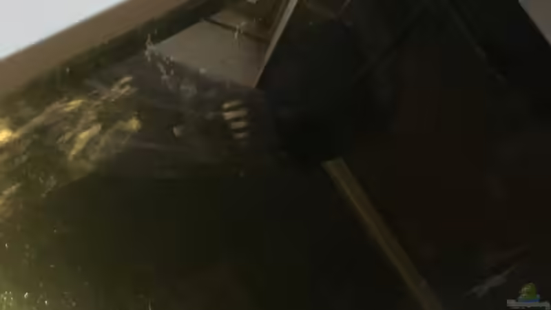 Strömungspumpe von Malawi Appel (7)