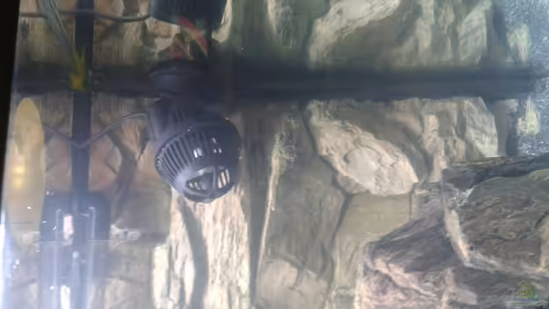 Strömungspumpe von Tobias Janßen (7)