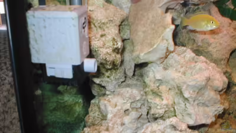 Strömungspumpe von Ulrich Rothärmel (10)