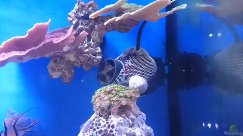 Strömungspumpe von WittaMine (35)