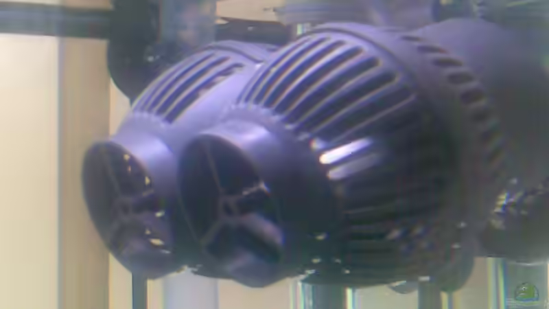 Strömungspumpen 6000 l/h von Korallenriff (12)