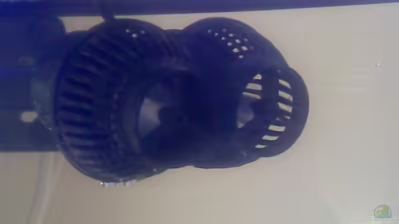 Strömungspumpen 6000 l/h von Korallenriff (13)