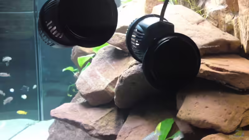 Strömungspumpen von Debby & Daniel (17)