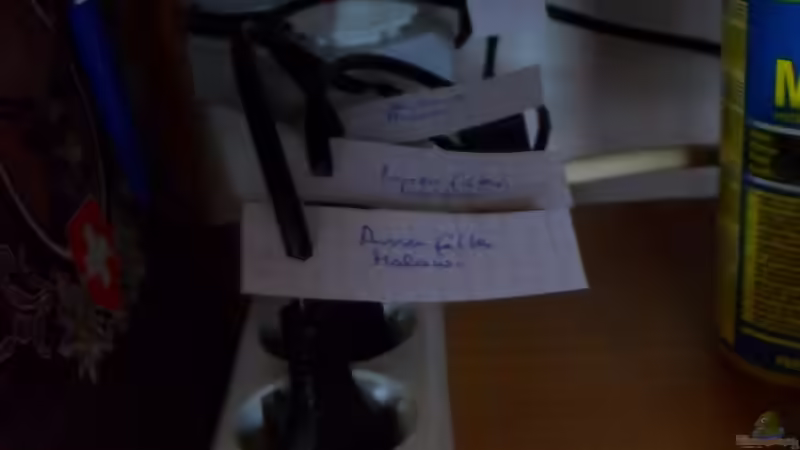 Stromschrank von Crashdragon (18)