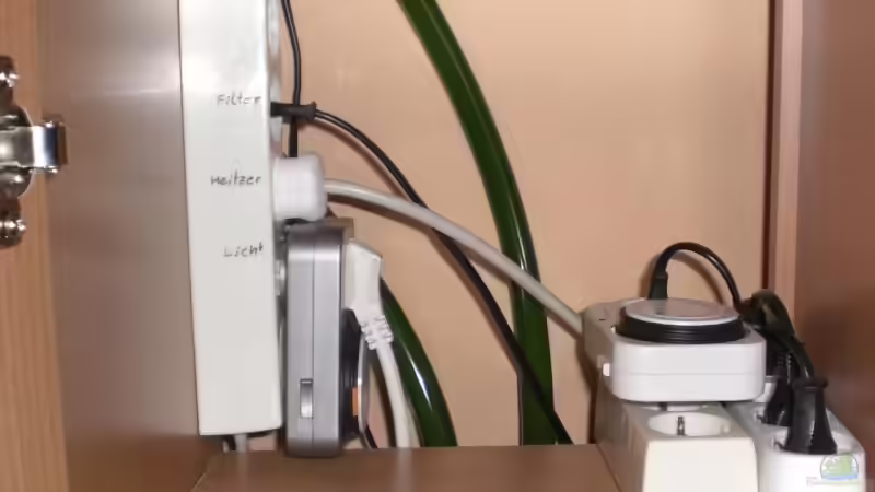 Stromverteilung von EO (20)