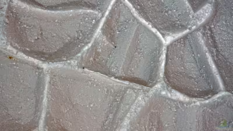 Struktur aus der Nähe von boffix (14)