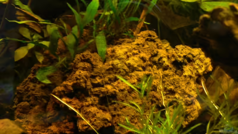 Strukturieren das Becken auch - Lavasteine von René Leubecher (15)