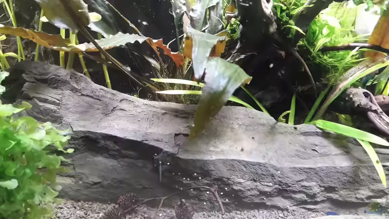 Stufe aus Schieferstein von Glücksscherbe (17)