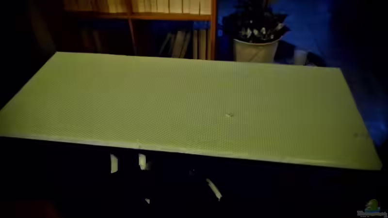 Styrodurplatte wurde Aufgeklebt von snooze (4)