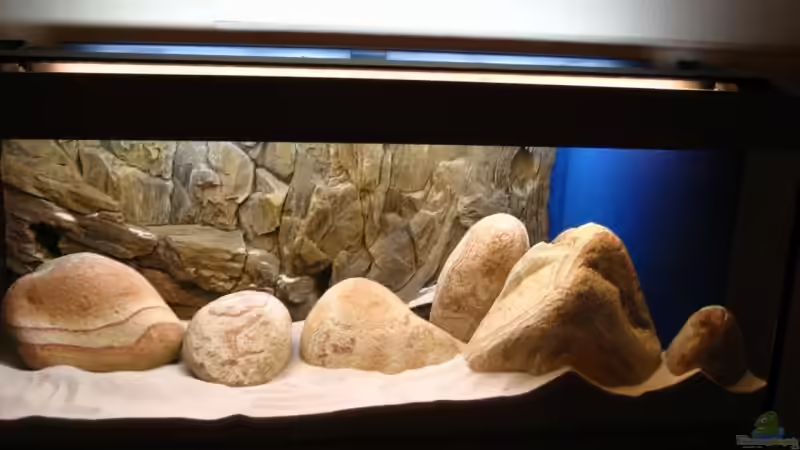 Styropor, Steine dann Sand (und etliche Versuche für den Aufbau) von Kleener Stinker (4)