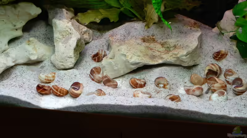 Styropor erkennbar 06.10.2012 von DominikZ (30)