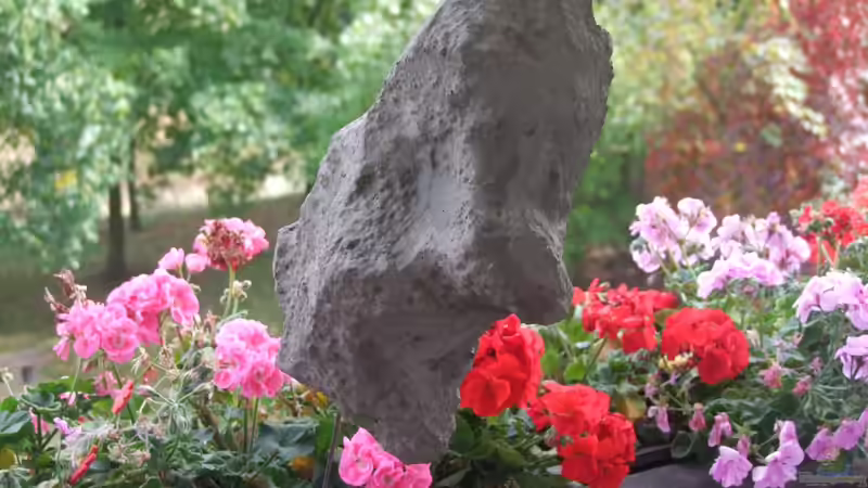 Styropor-Felsvorsprung für Rückwand von wadde (30)